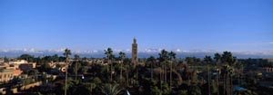 Marrakech skyline