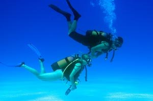 The Seychelles - just as beautiful beneath the waves